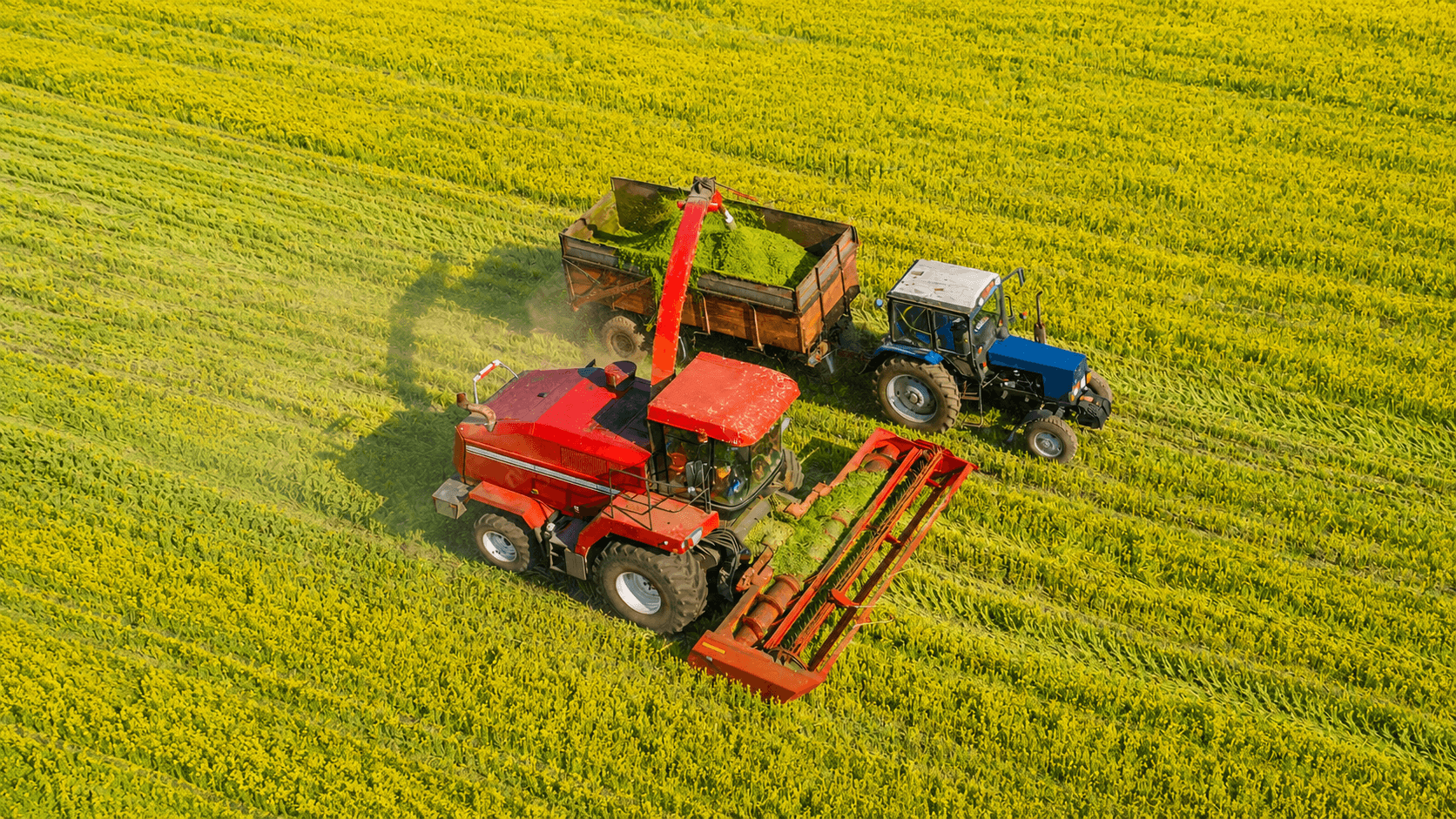 Agriculture Rugged Display